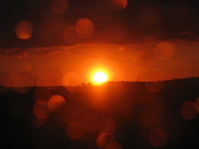 Sunset with lens flares