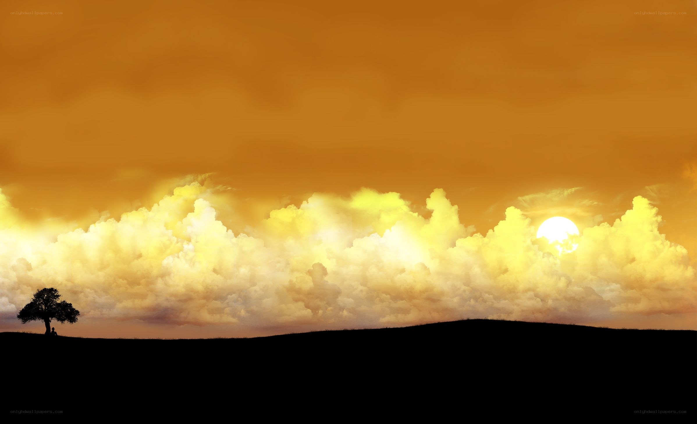 sunset with lone tree