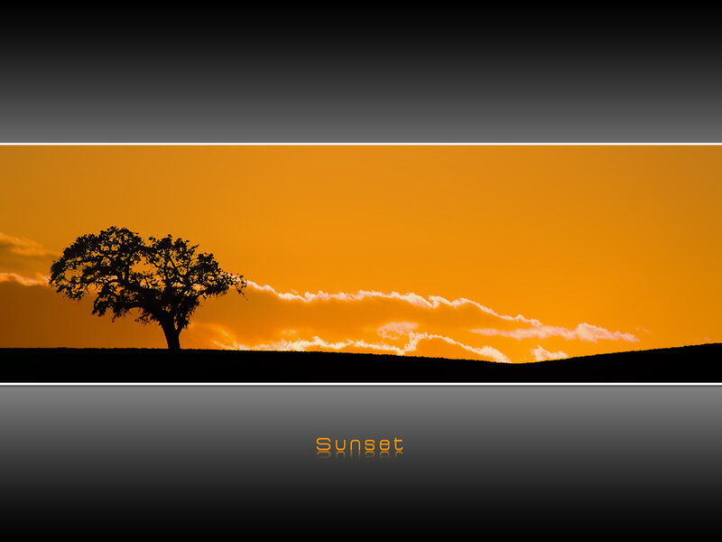 sunset with lone tree