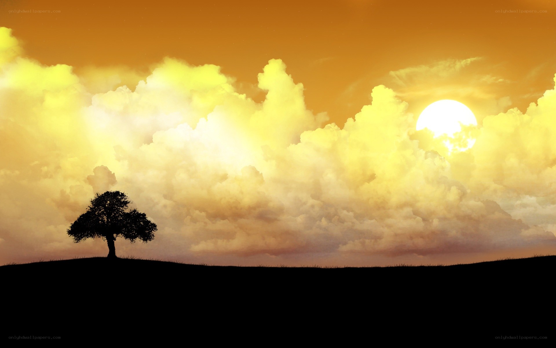 sunset with lone tree