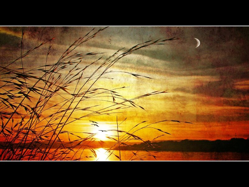 Sunset with moon and grass