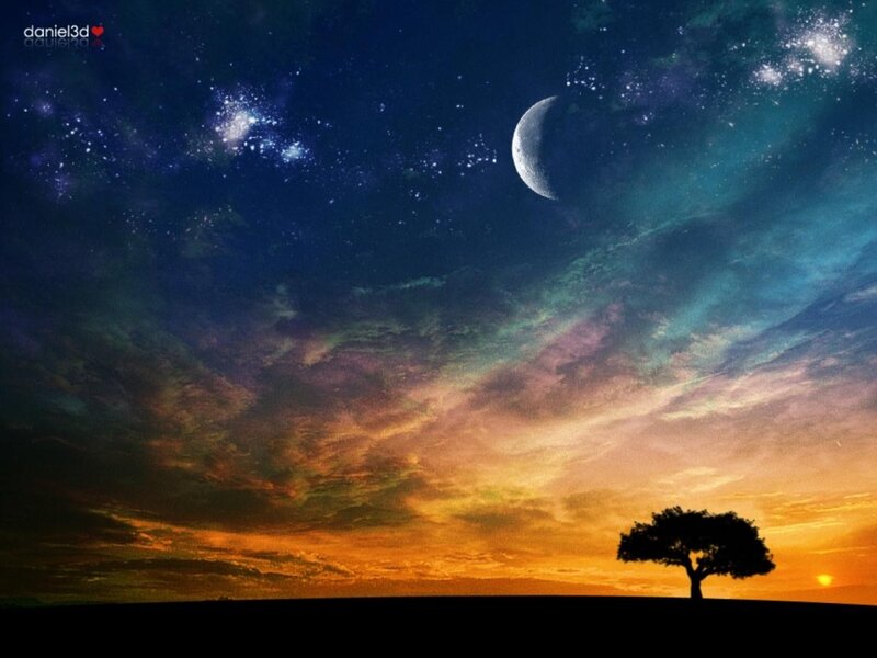 sunset with moon and tree