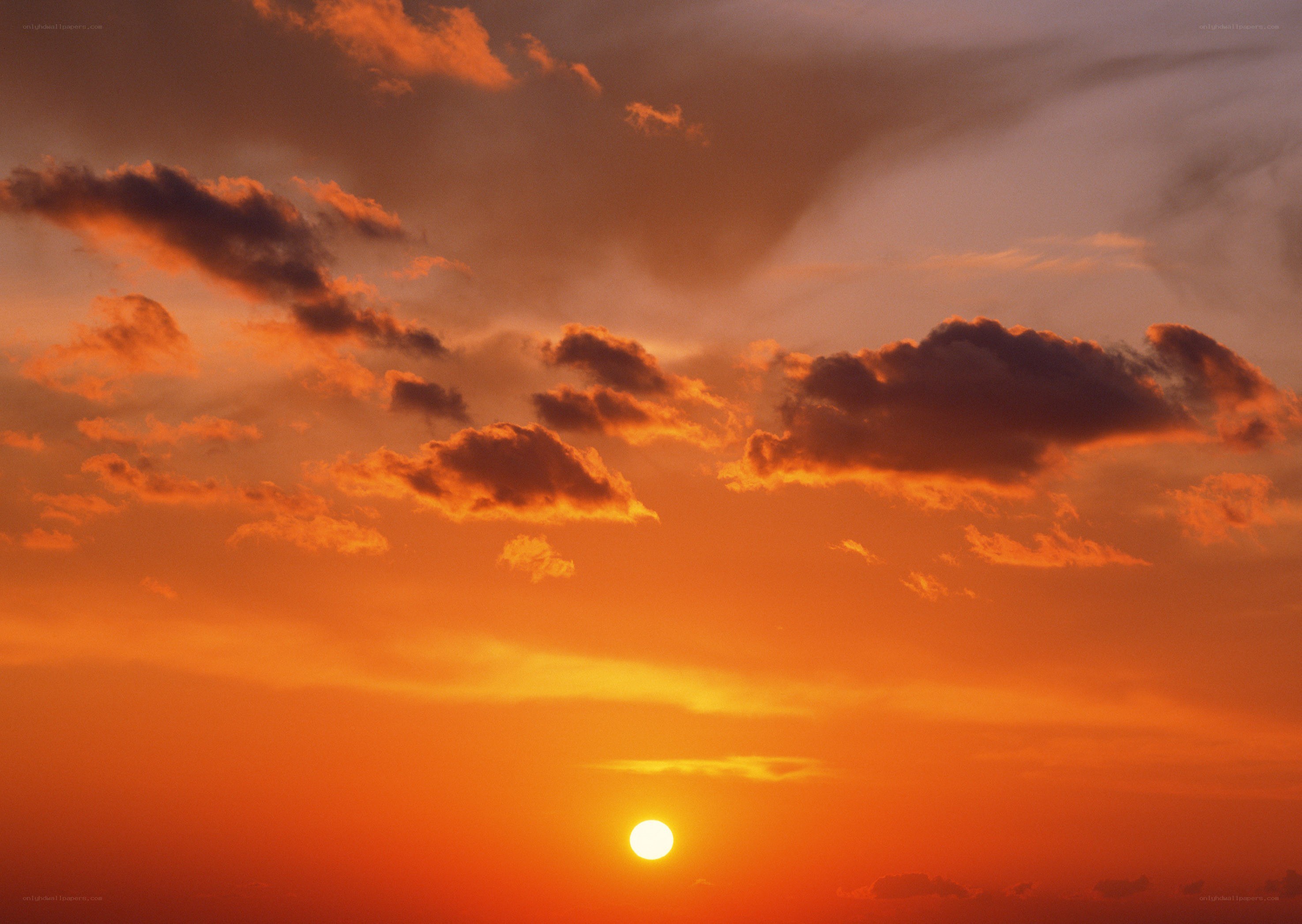 Sunset with orange sky