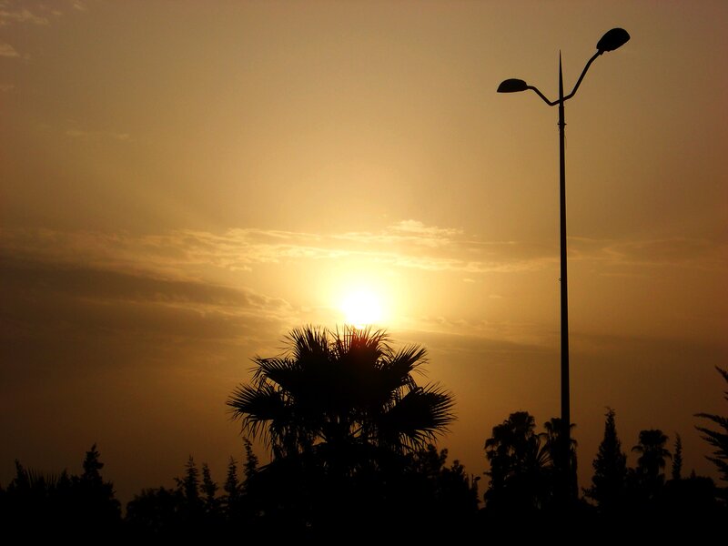 Sunset with palm trees