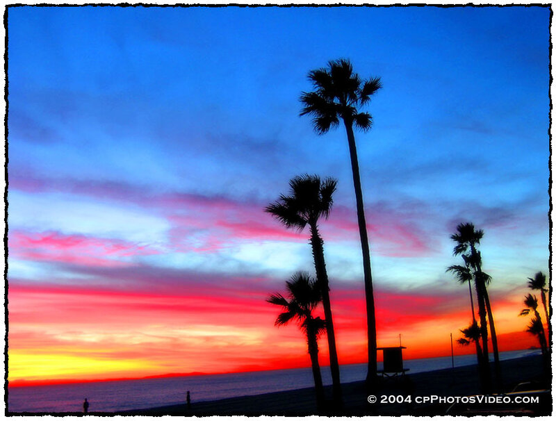 sunset with palm trees