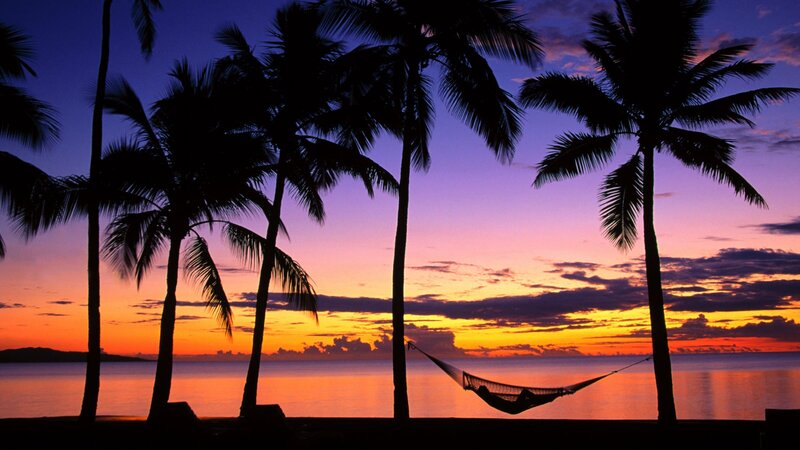sunset with palm trees and hammock