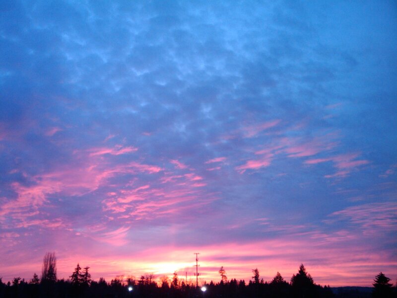 sunset with pink and blue sky