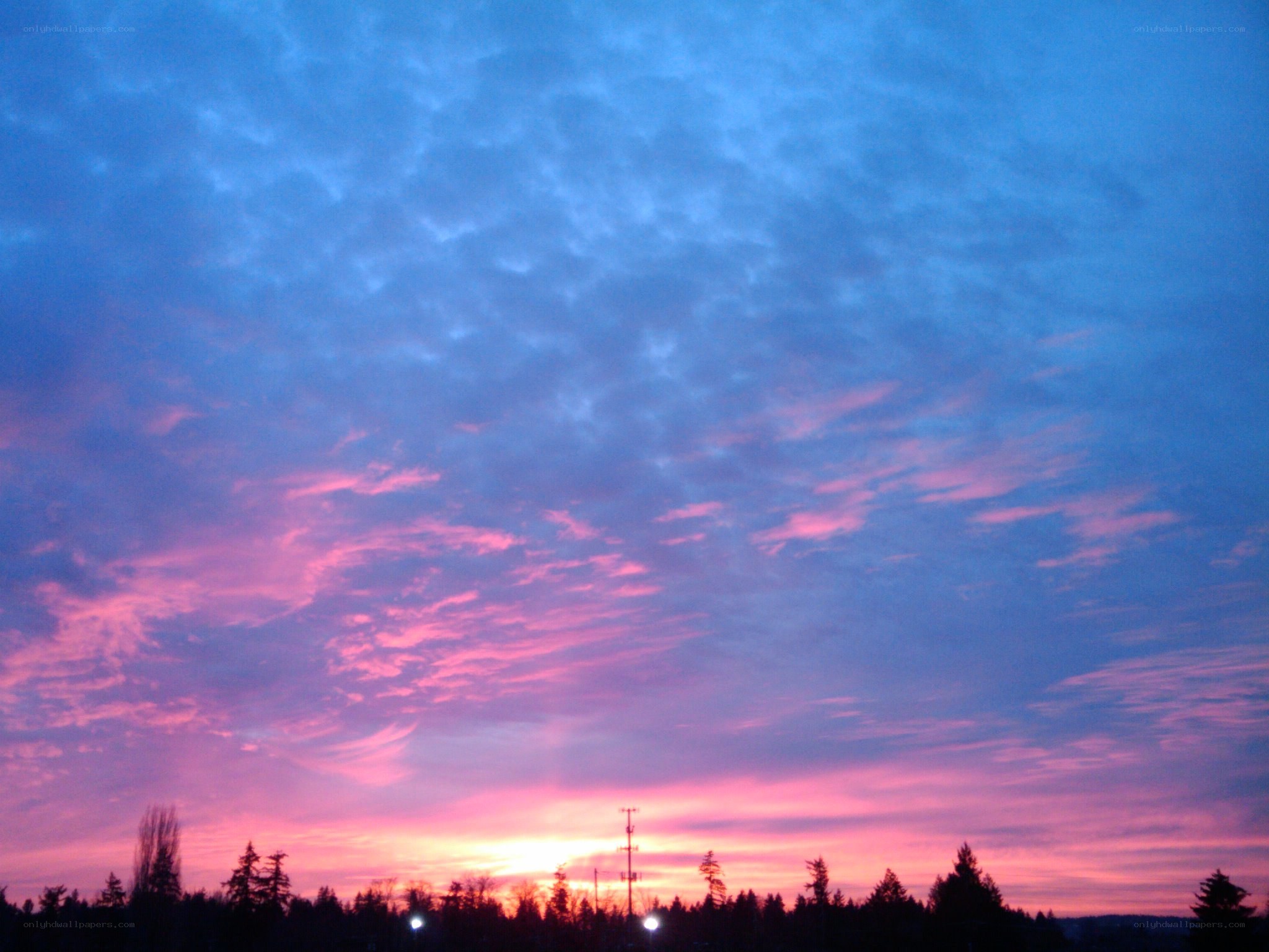 sunset with pink and blue sky