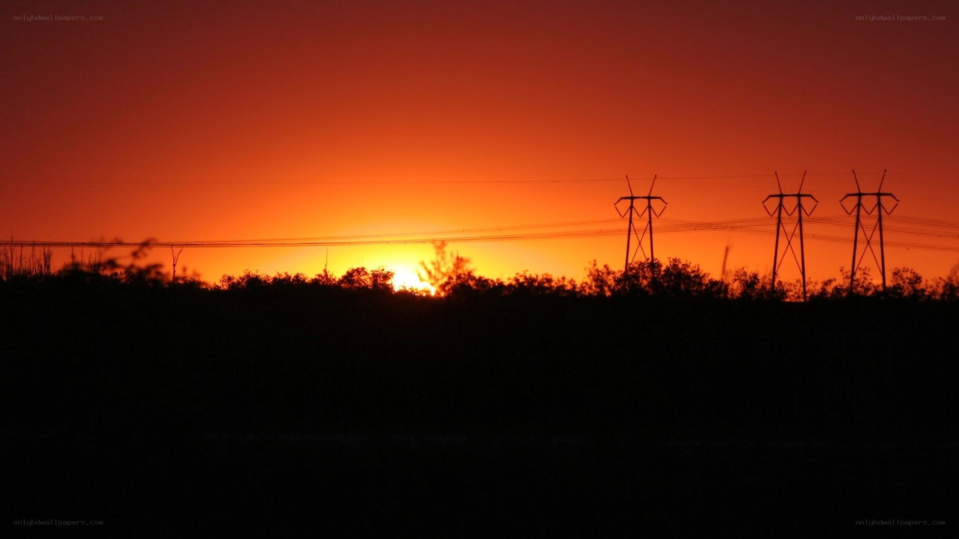 sunset with power lines