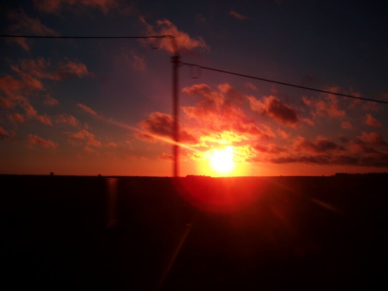 sunset with power lines