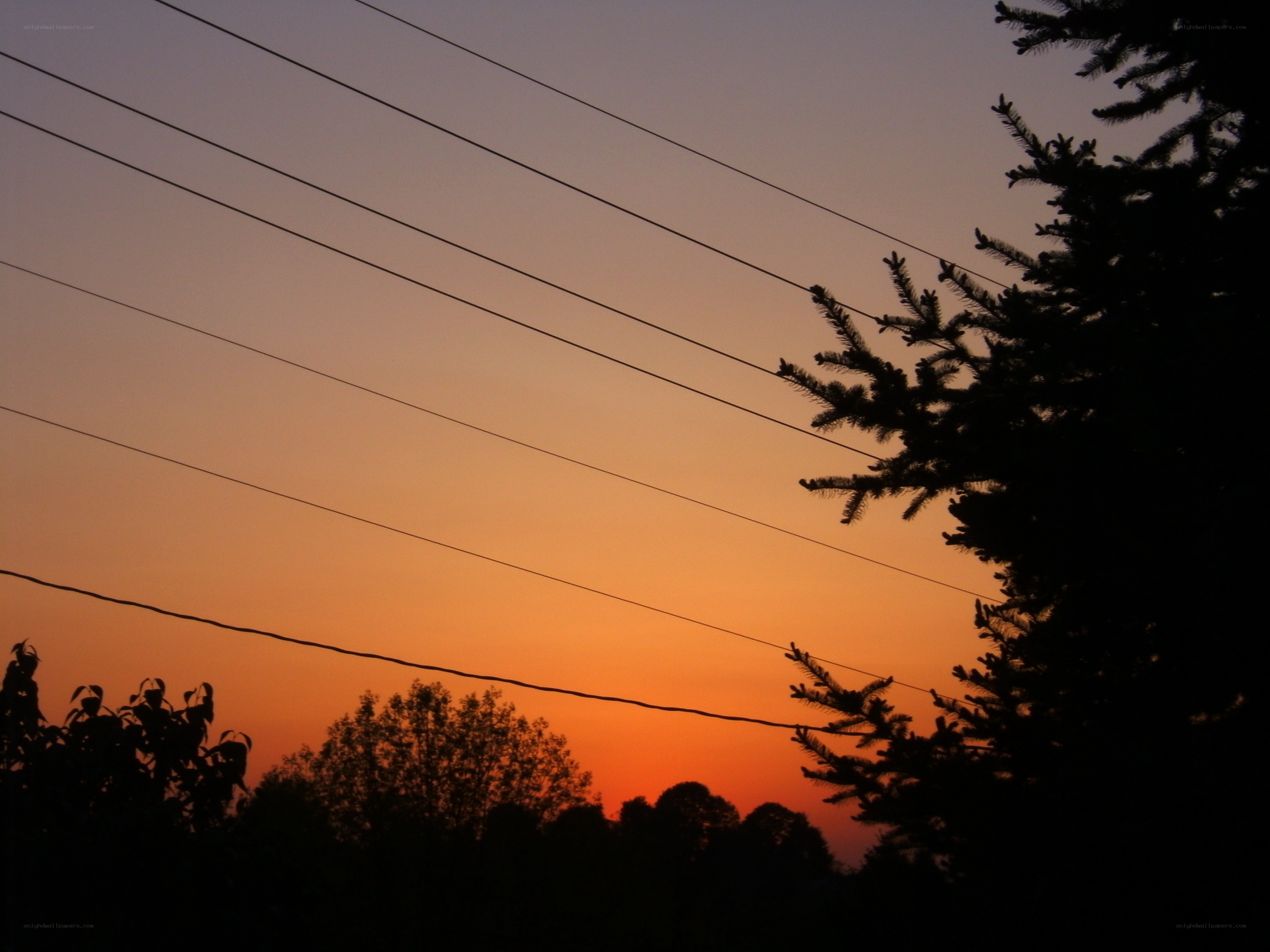 sunset with power lines