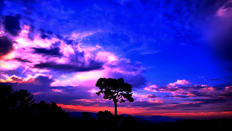 sunset with purple sky