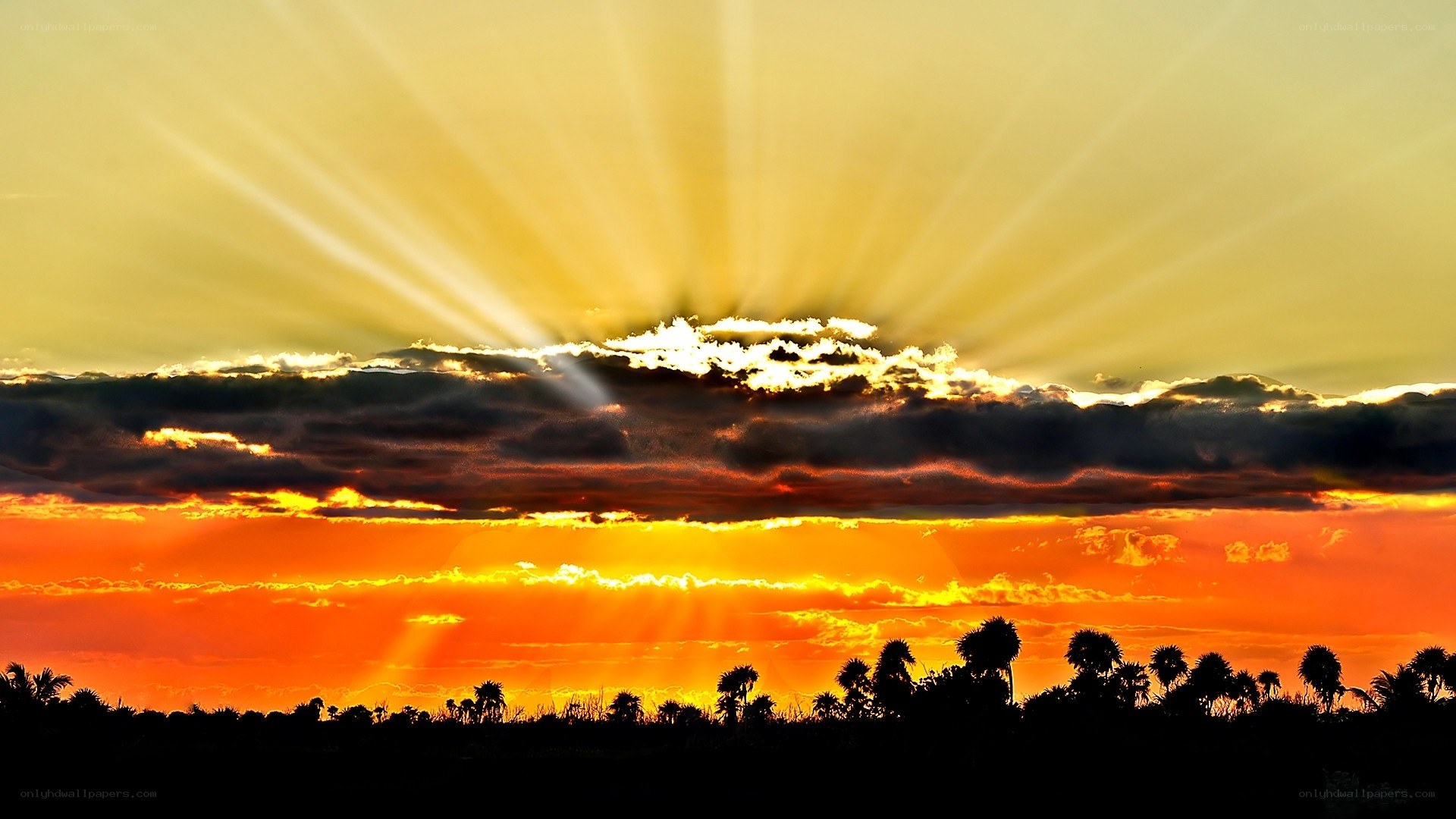 Sunset with radiant beams
