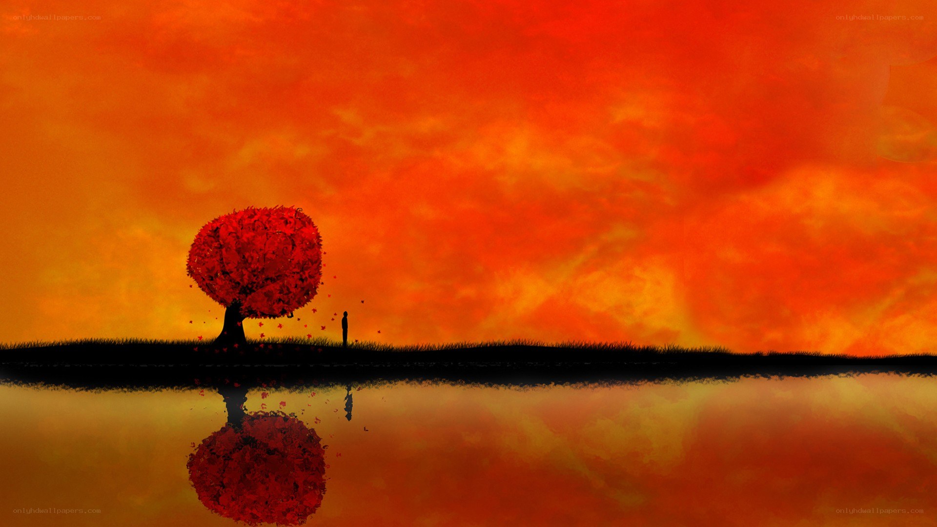 sunset with red tree