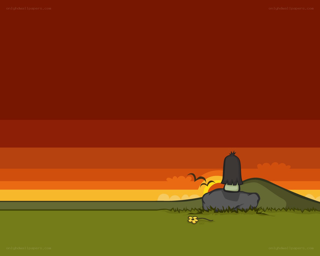 sunset with rock and flower