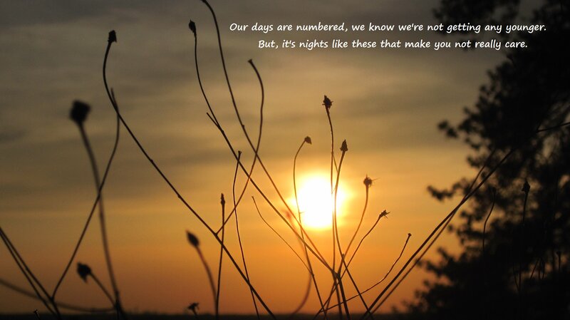 Sunset with Silhouetted Plants