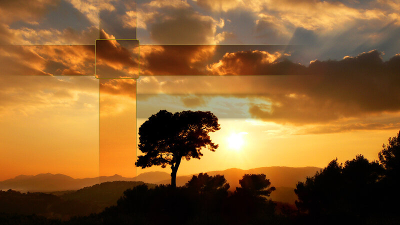 sunset with silhouetted tree