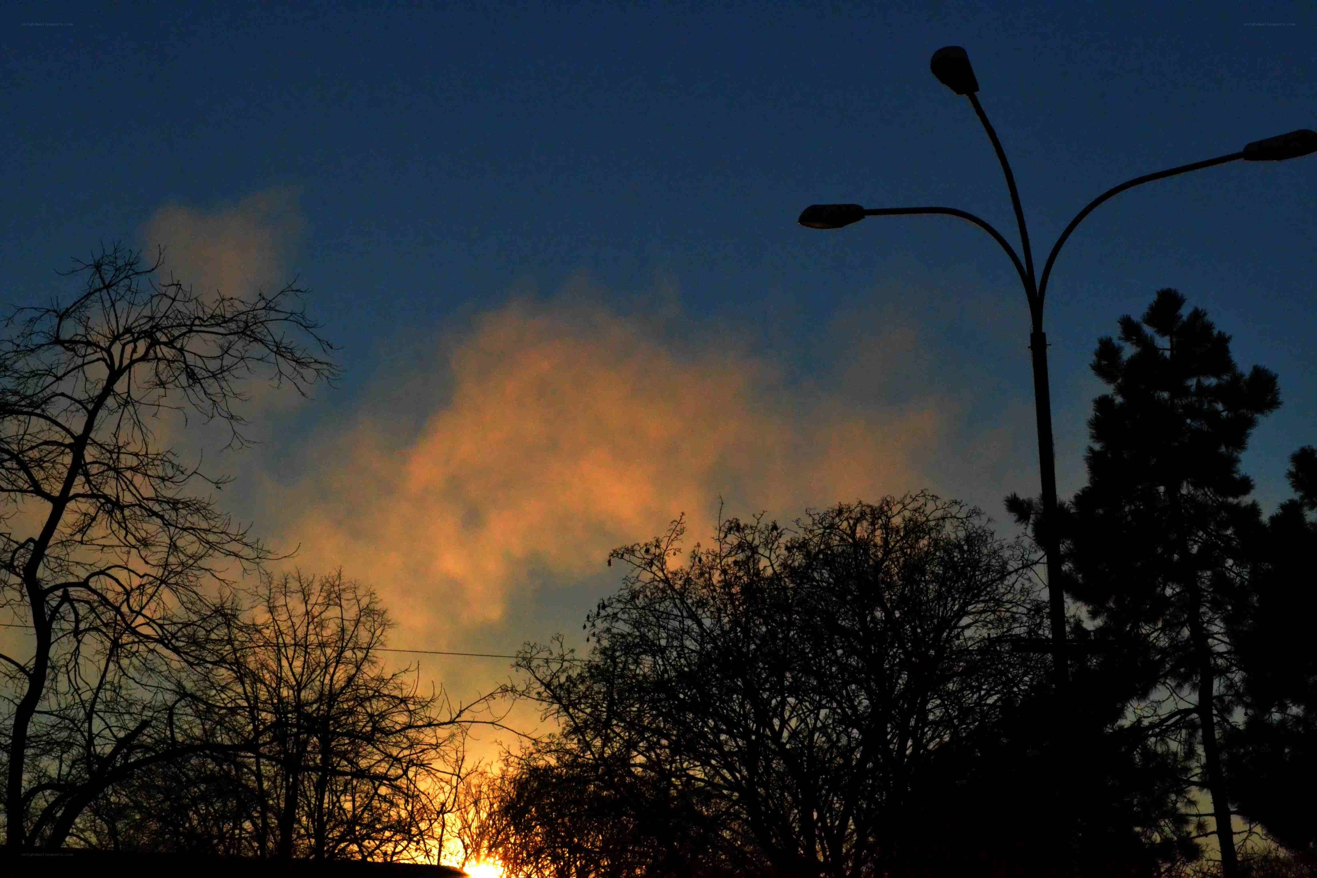 Sunset with silhouetted trees
