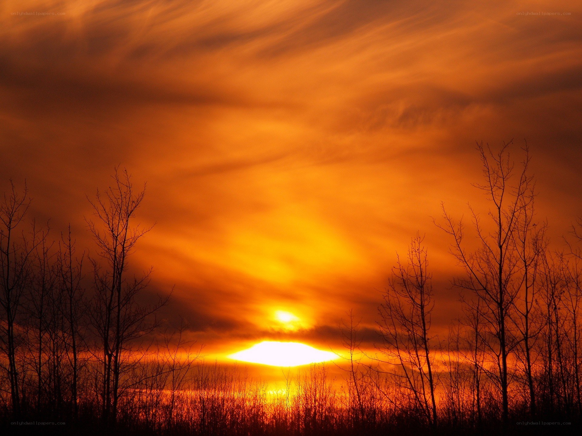 Sunset with silhouetted trees