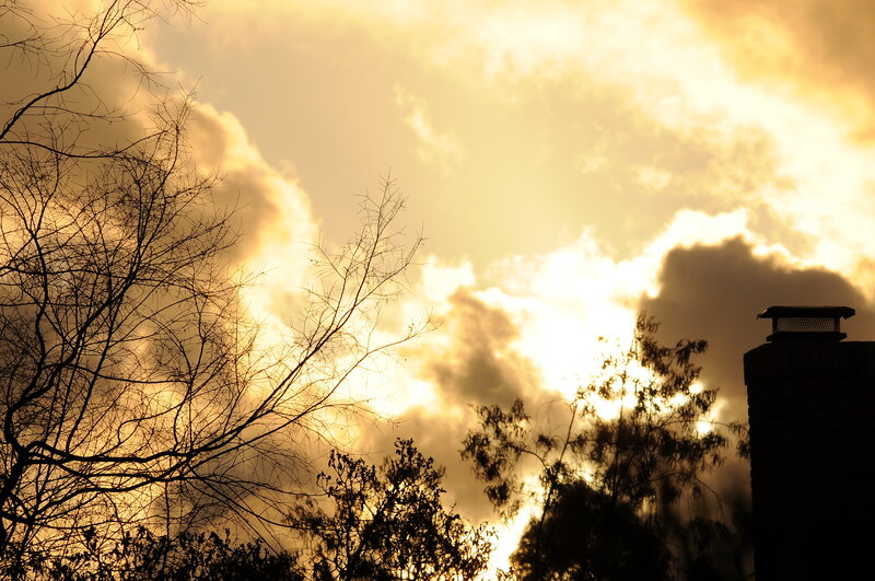 Sunset with silhouetted trees