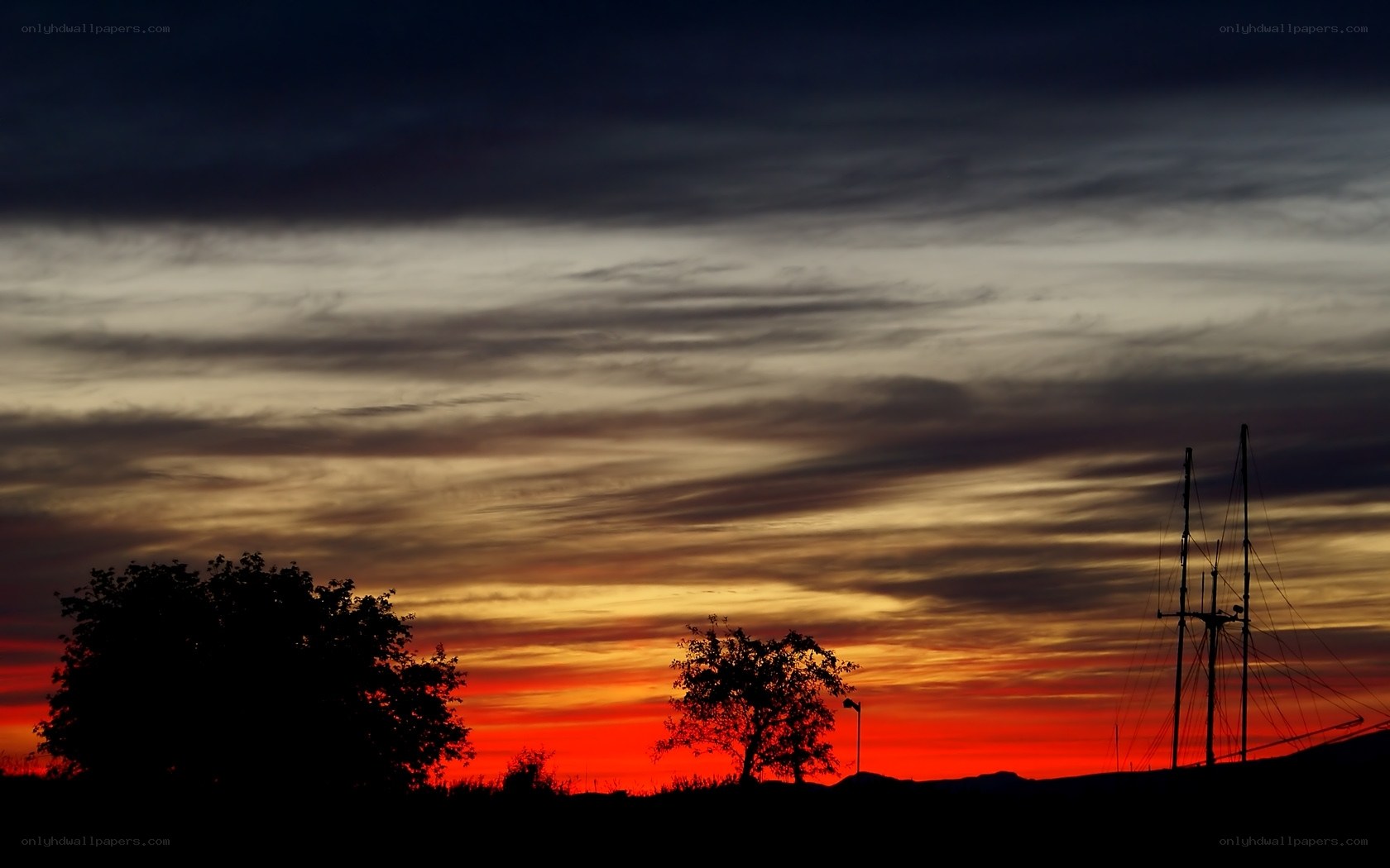 sunset with silhouetted trees