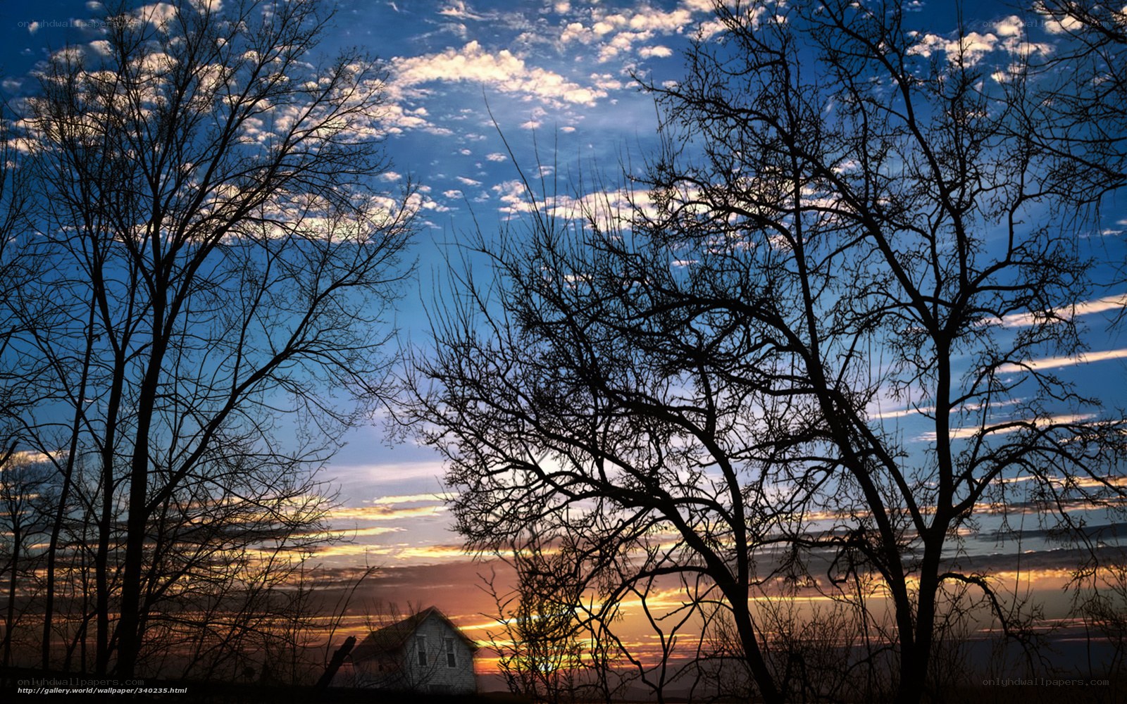 Sunset with Silhouetted Trees