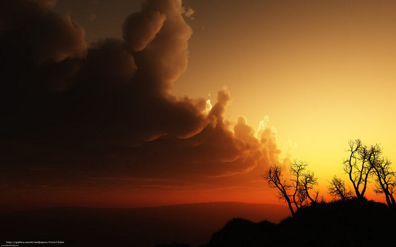 Sunset with silhouetted trees