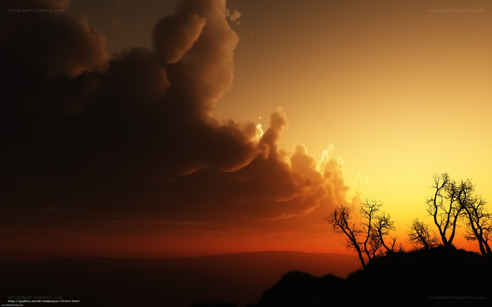Sunset with silhouetted trees