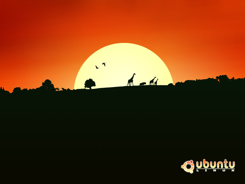 Sunset with silhouettes