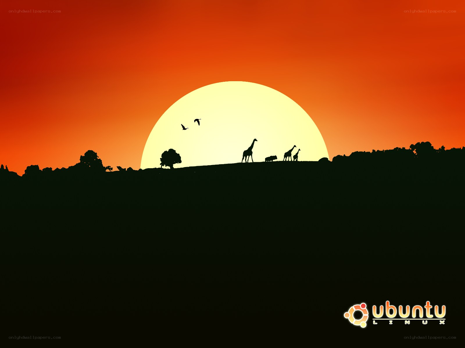 Sunset with silhouettes