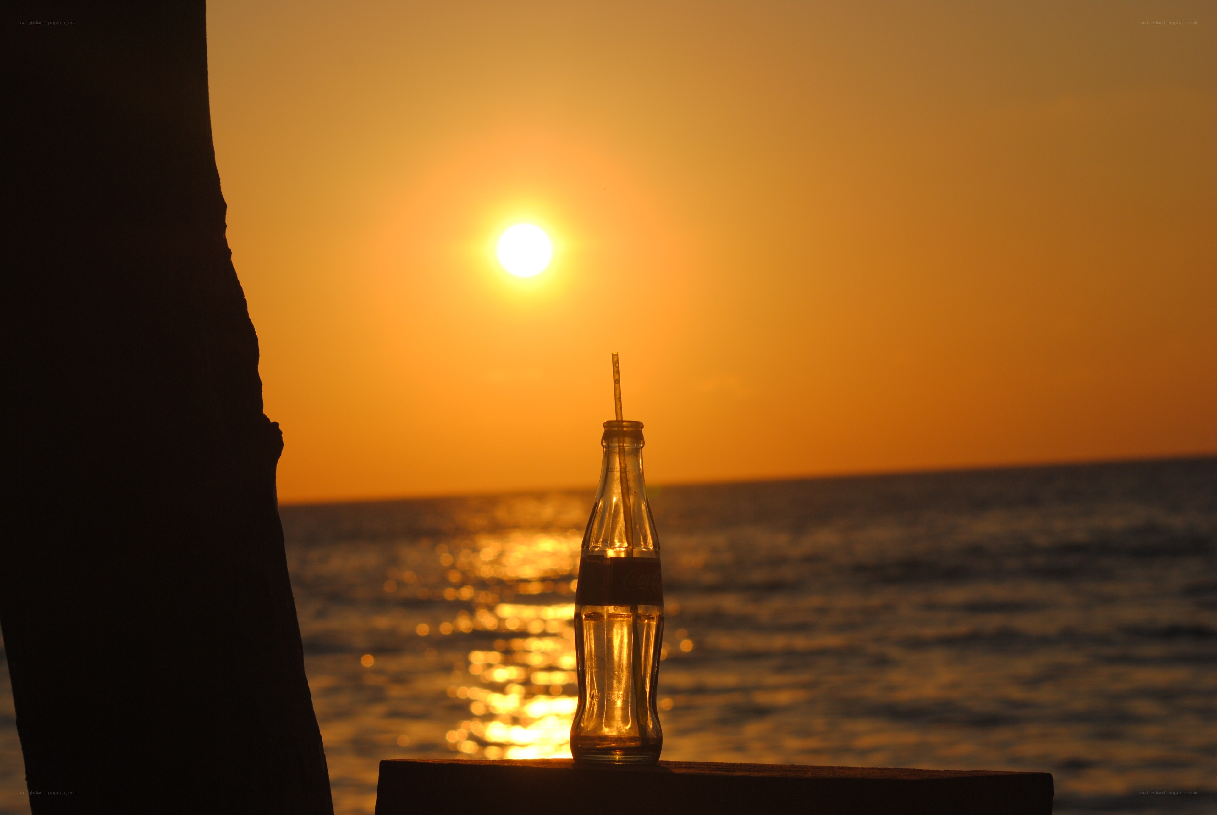 Sunset with soda bottle