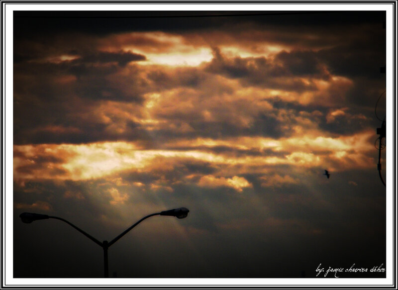 sunset with streetlight silhouette