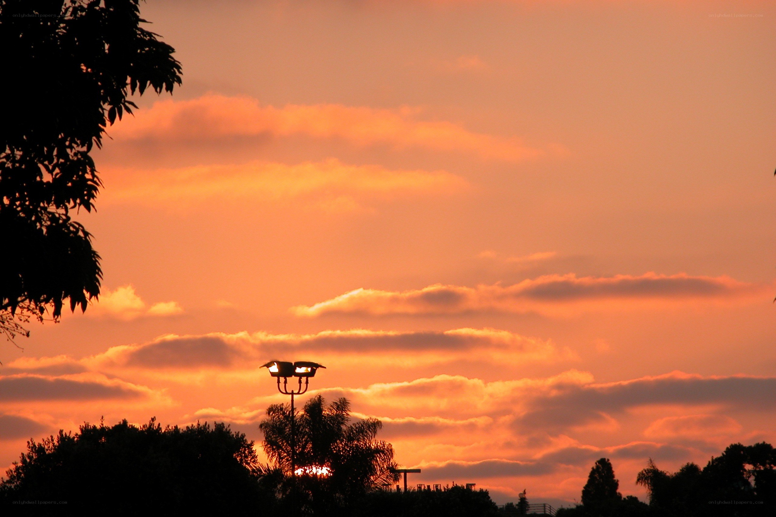 sunset with streetlight silhouette
