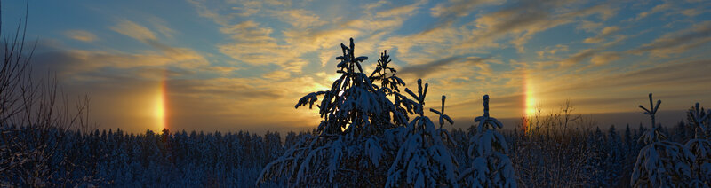 Sunset with sun dogs over snowy forest