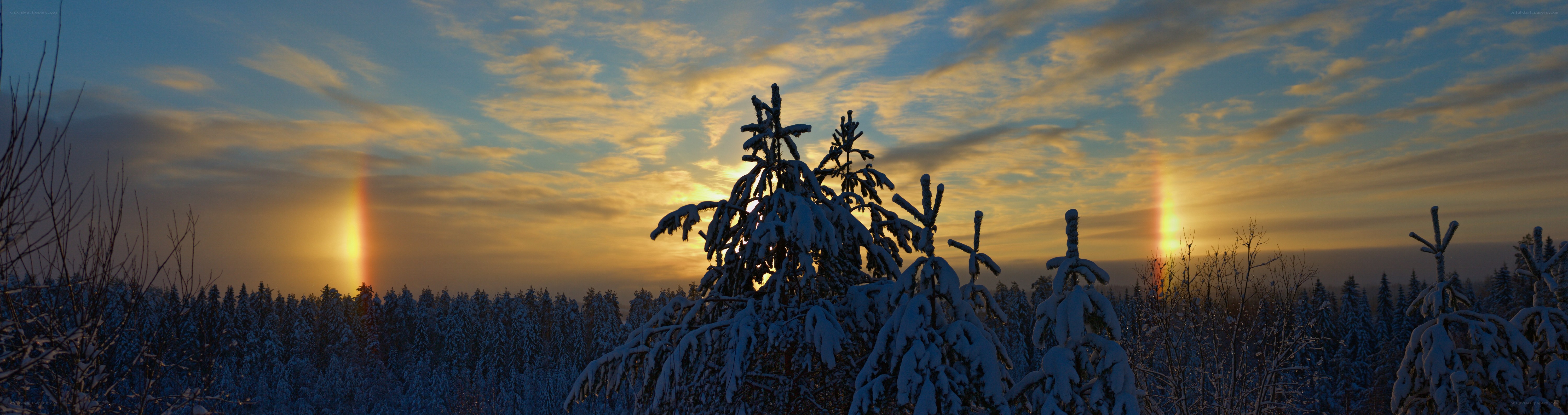 Sunset with sun dogs over snowy forest