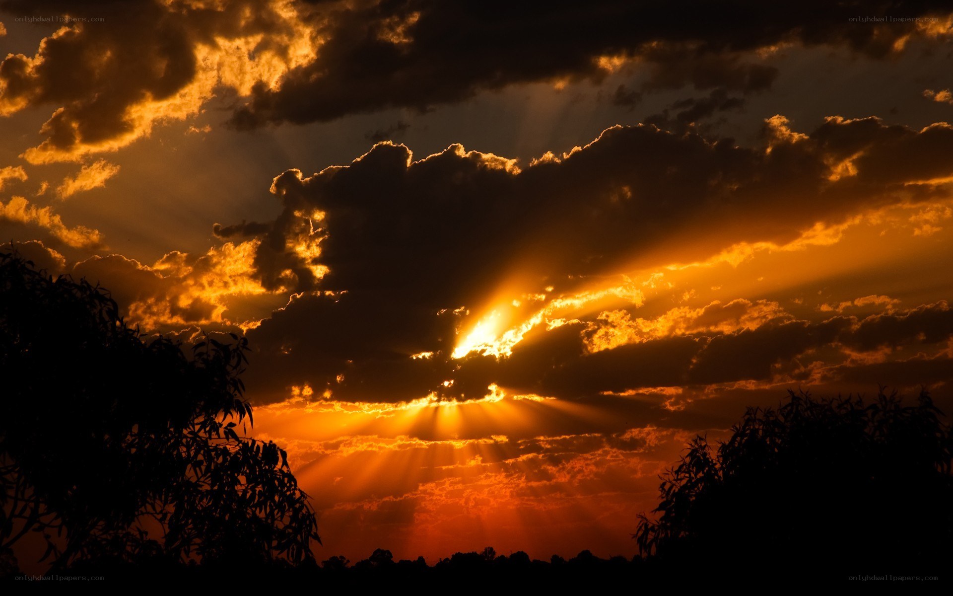 Sunset with sunbeams