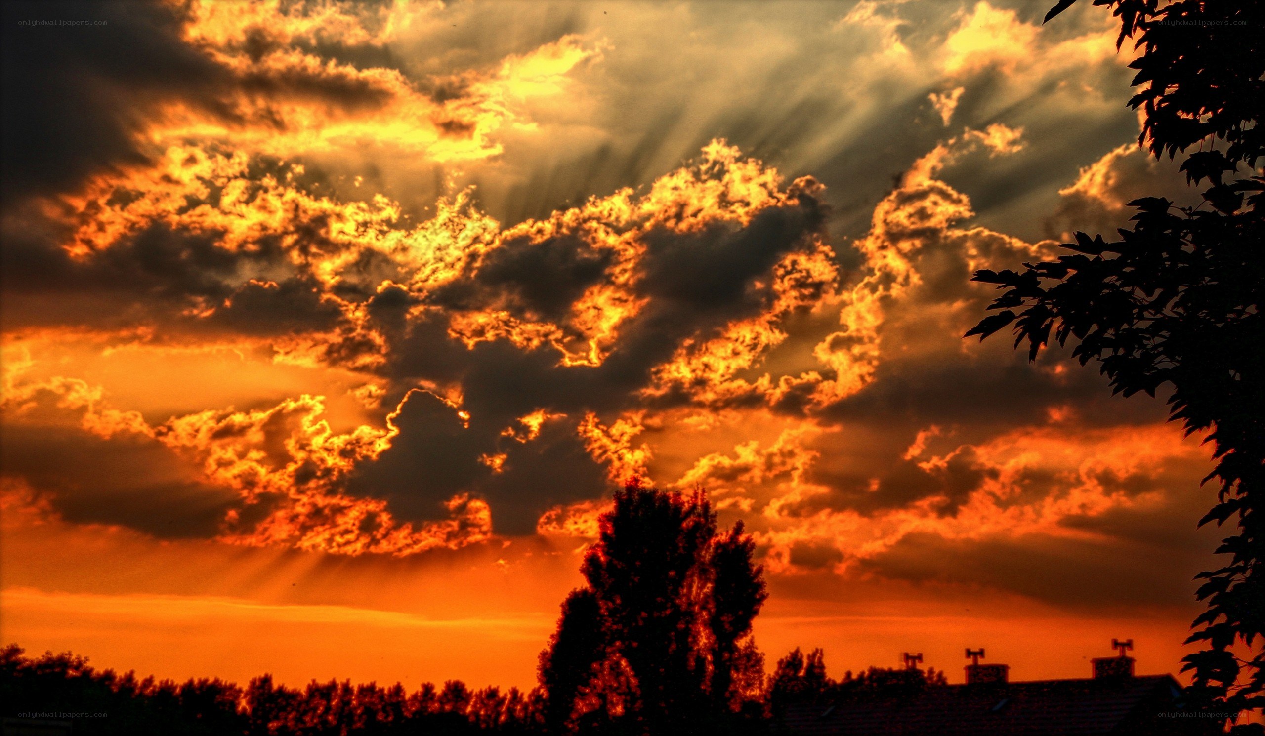 sunset with sunbeams