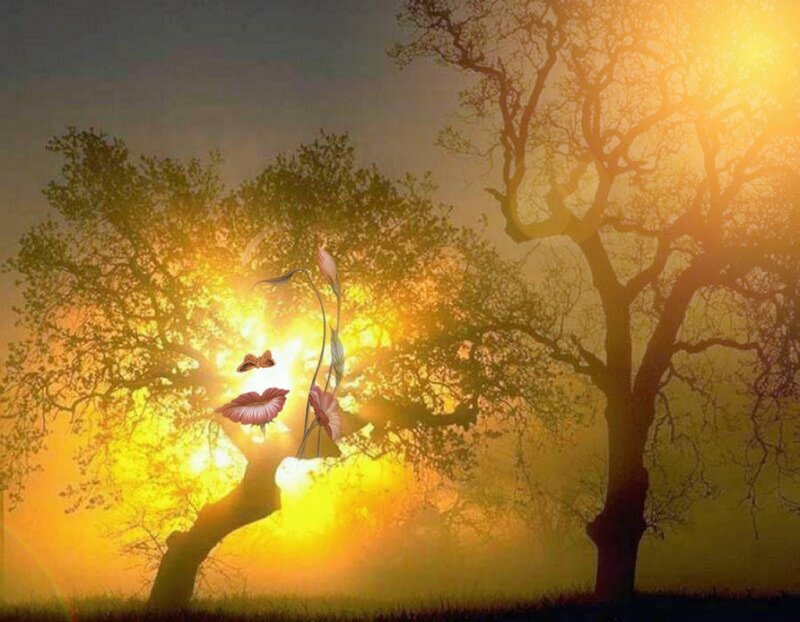 Sunset with surreal elements