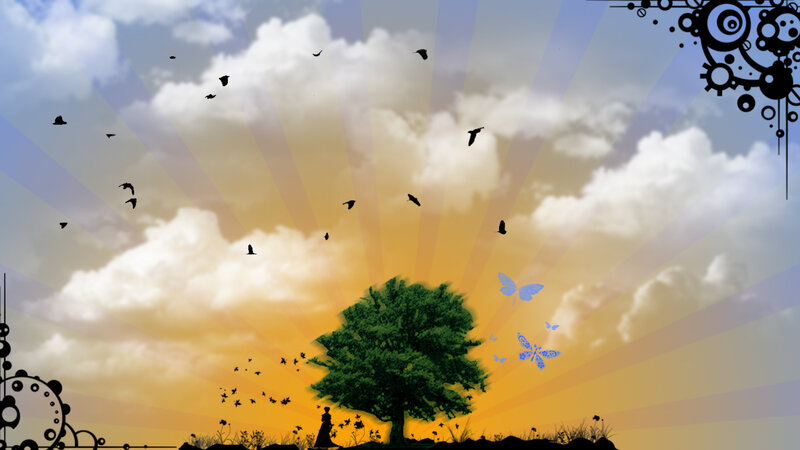 sunset with tree and birds