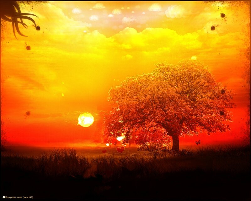 Sunset with tree and hearts