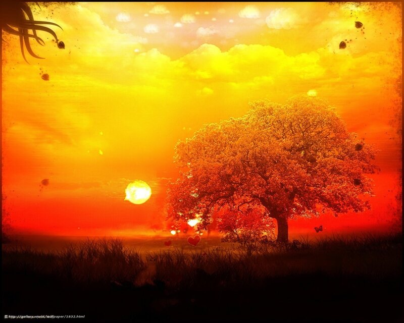 Sunset with tree and hearts