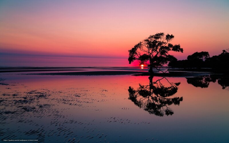 Sunset with tree reflection