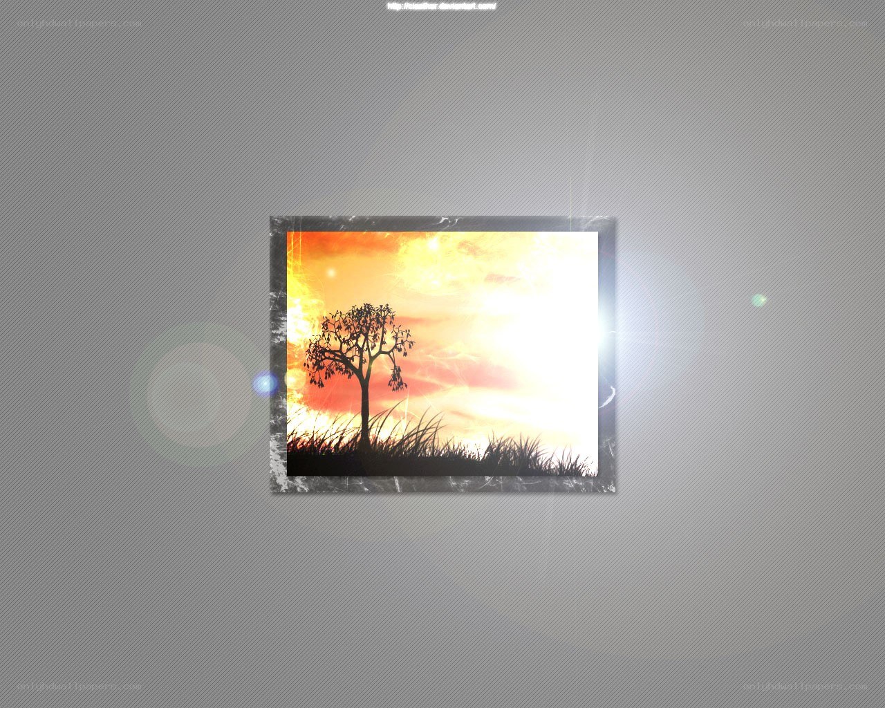 sunset with tree silhouette