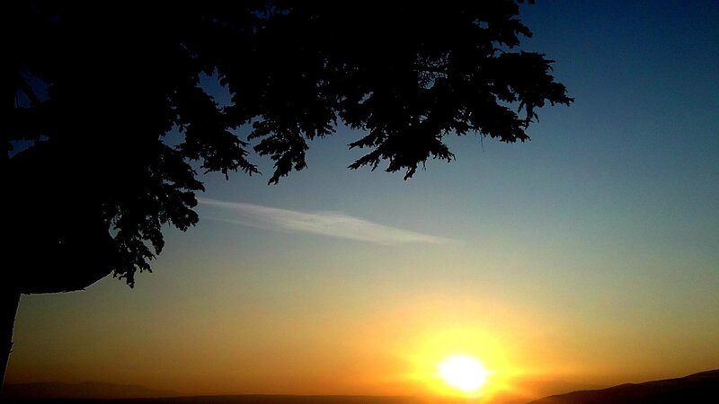 Sunset with tree silhouette