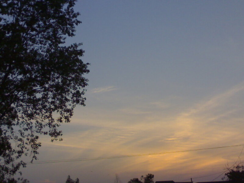 sunset with tree silhouette