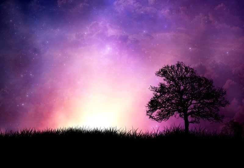 sunset with tree silhouette