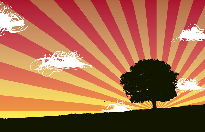 sunset with tree silhouette