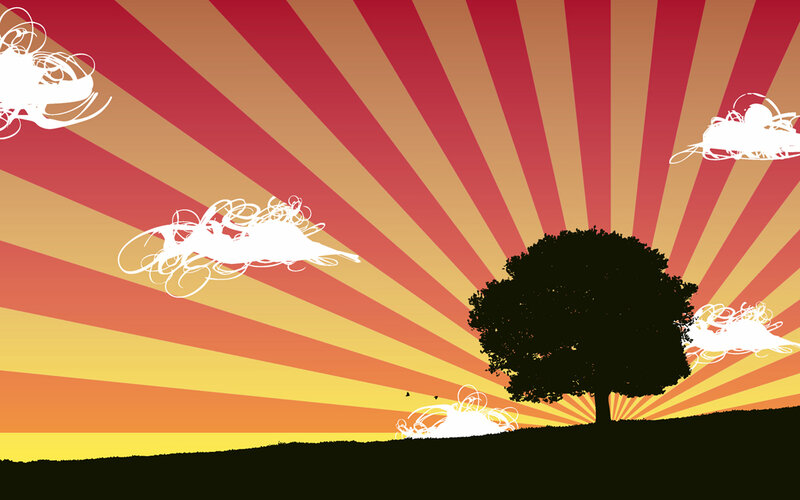 sunset with tree silhouette