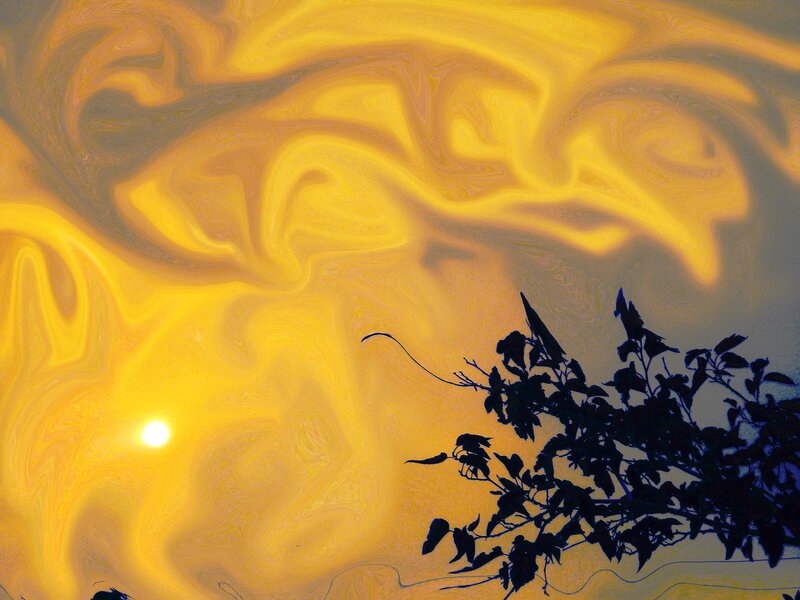 Sunset with Tree Silhouette — Yellow