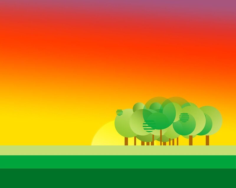 sunset with trees